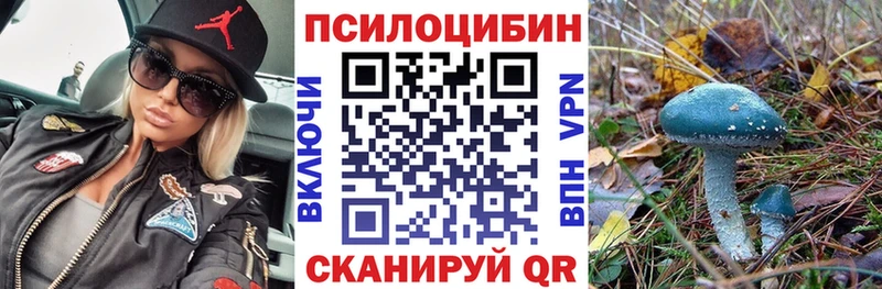 наркошоп  Артёмовский  Галлюциногенные грибы Cubensis 